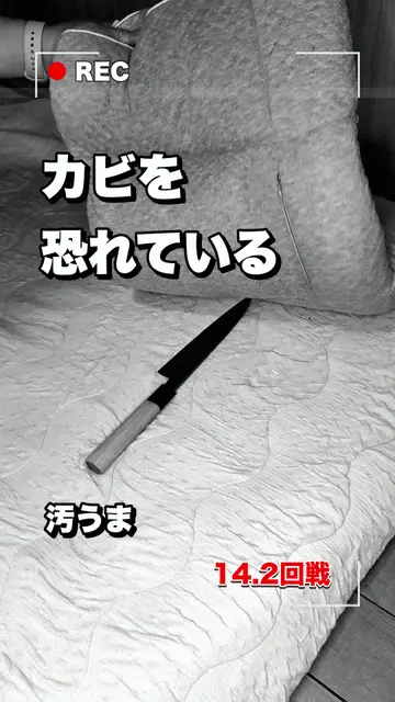 14.2回戦「カビを恐れている」の表紙