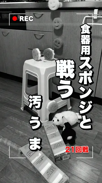 21回戦「食器用スポンジと戦う」の表紙