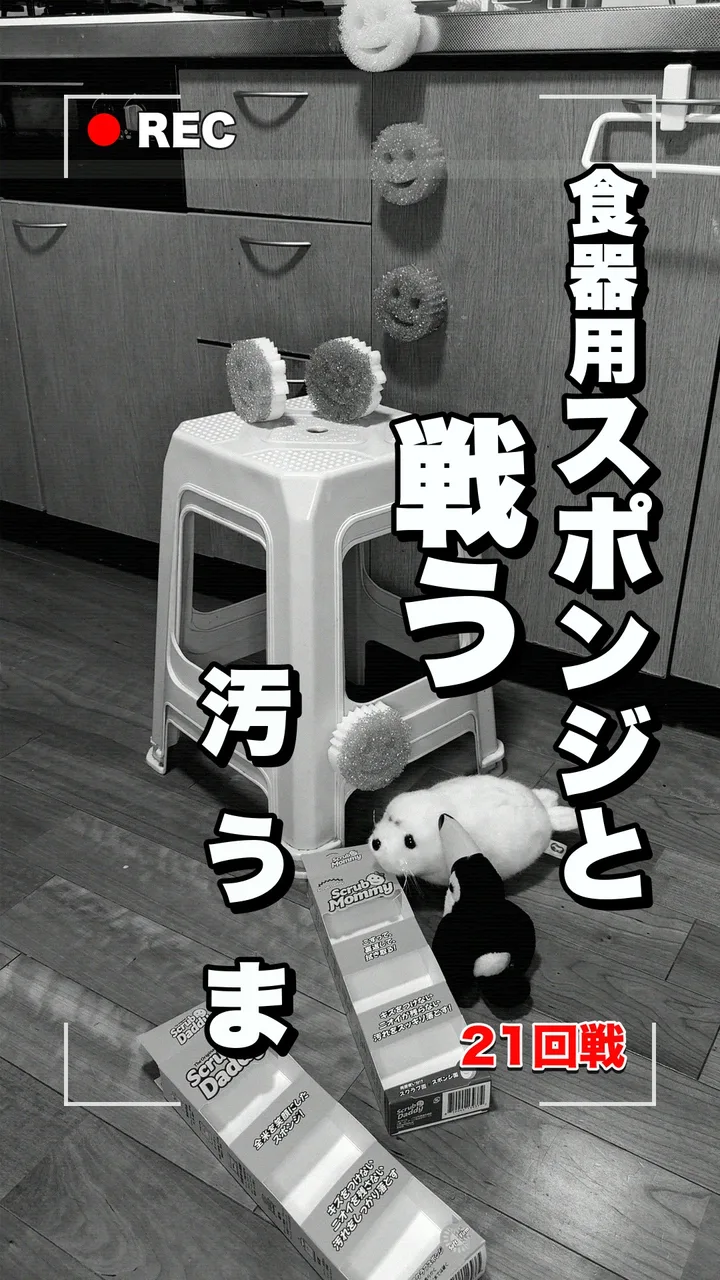 21回戦「食器用スポンジと戦う」の表紙